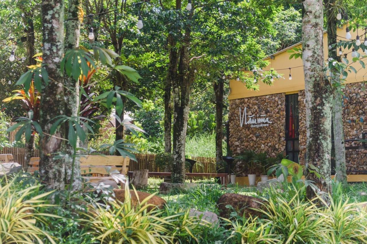 Nam Mua Bungalows Huong Hoa Eksteriør billede